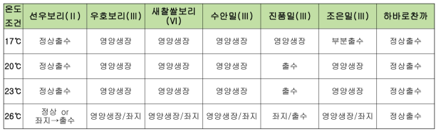 2019년 7월 5일 하고실험 샘플 생육 및 출수 현황