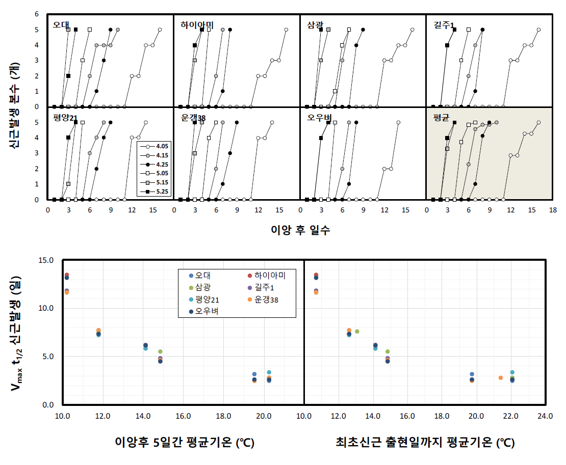 이앙 후 일수별 신근발생 본수(위) 및 이앙 후 기준시기까지의 평균기온에 따른 품종별 Vmaxt1/2(아래) * 길주1과 오우벼는 이앙 후 일수별 신근발생 본수가 5월 15일과 5월 25일 이앙에서 동일함