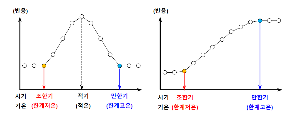 벼 생육반응 기준 한계시기와 한계온도 평가방법