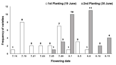 Distribution of flowering time of 28 North Korean and 4 South Korean soybean varieties at two different planting times in 2017