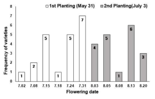 Distribution of Flowering time of 22 North Korean and 8 South Korean soybean varieties at two different planting times in 2019