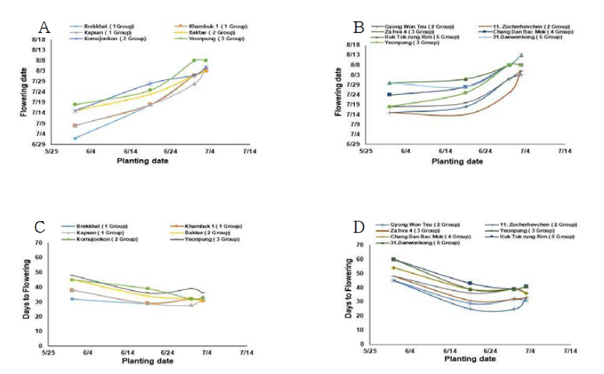 Changes in flowering times (date) (A, B) and the days to flowering (C, D) with the different planting times for two types of flowering response, temperature response (A, C) and photosensitive response (B, D)