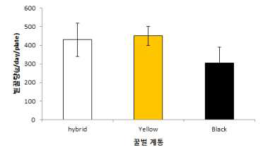 사과원에서 꿀벌 계통별 화밀채집량