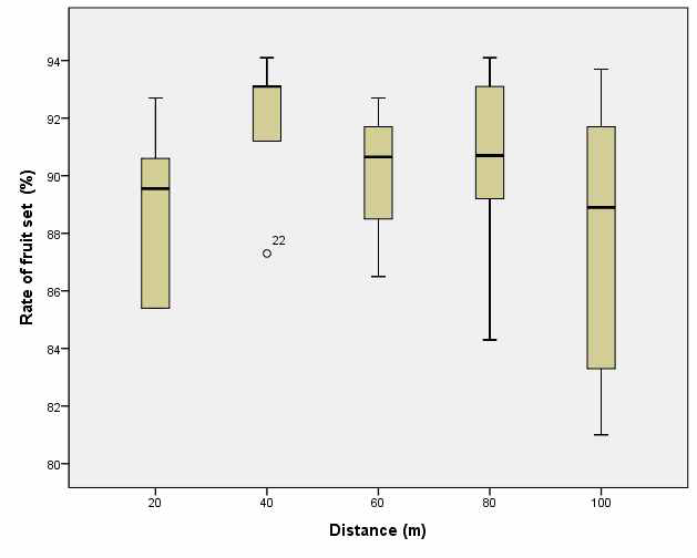 봉군으로부터 거리와 착과율의 상관관계 1) 상관분석: pearson correlation amalysis - 거리-착과율: n=30, R=-1.47, p=0.440