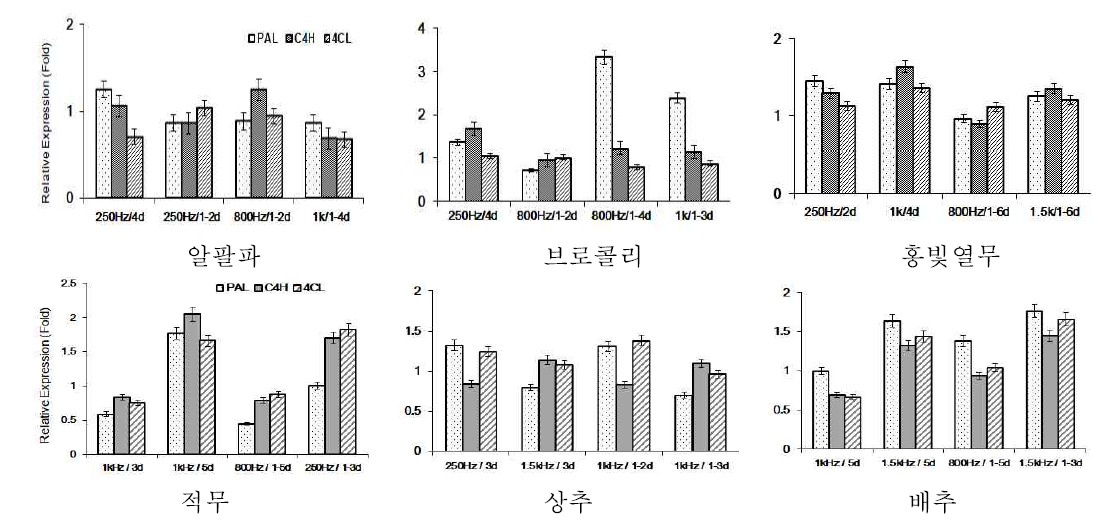 음파처리시 해당 유전자들의 발현양상