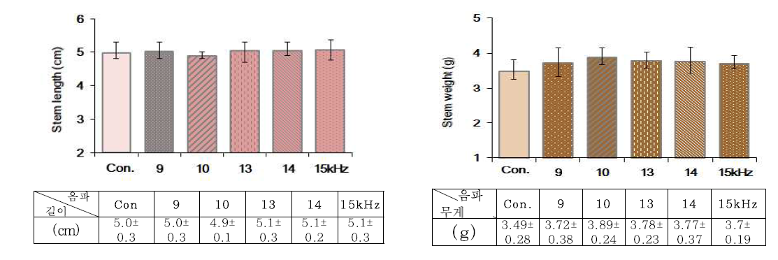 토양생육 중 단일음파(1kHz) 추가처리한 호박유묘 하배축 길이와 생체중