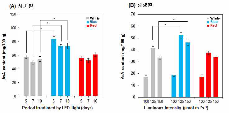 배추의 비타민 C (AsA) 함량에 대한 백색광, 청색광 및 적색광 LED의 영향 분석. (A) 시기별에 의한 비타민 C 함량 비교. (B) 광량별에 의한 비타민 C 함량 비교