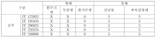 순무의 병해충 저항성조사