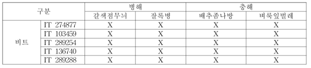 비트의 병해충 저항성조사