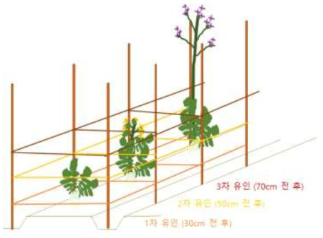 무 유인 방법