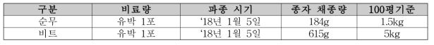 순무, 비트의 채종량 조사 정식 (2018년 3월 27일)