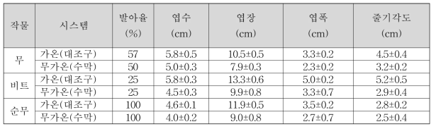 무가온 육묘시스템과 관행 육묘시스템에서의 유묘의 생육상태 비교