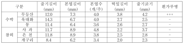 육묘상 생육 특성(2019)