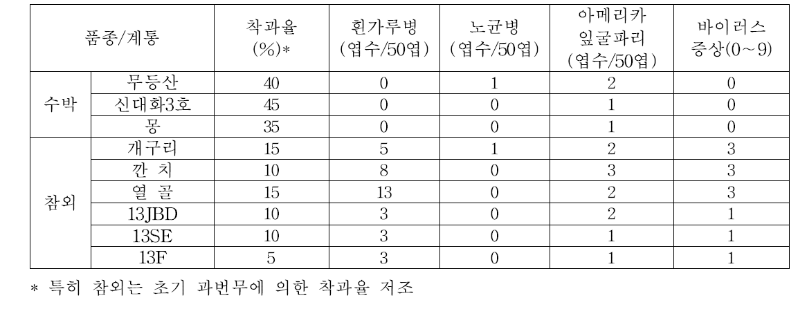 과채류 착과율 및 정식포장 병해충 발생(2017, 1차 조사)