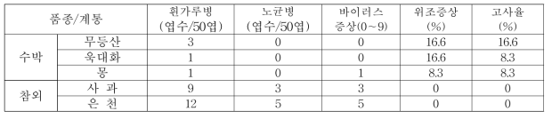 과채류 정식포장에서의 병해 발생 및 고사율(2019)