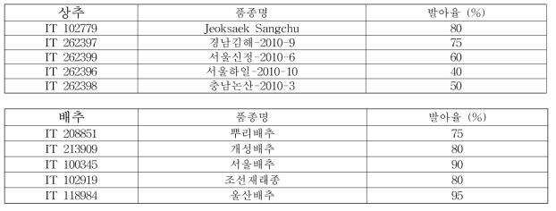 상추, 배추 발아율조사