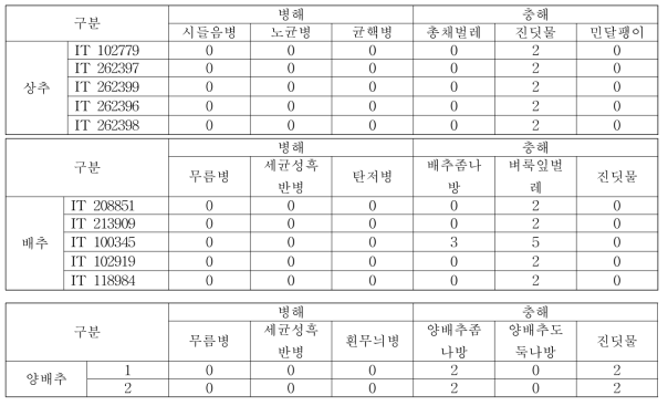 상추, 배추, 적양배추 병해충 저항성 특성