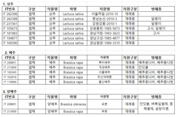 엽채류 작물 계통별 병충해 발생현황