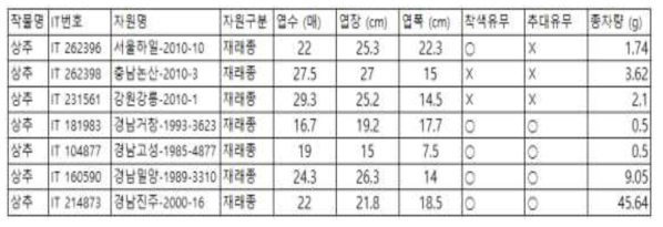 재래종 상추의 수확량 및 유기종자 채종량 비교