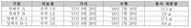 양배추 비료량별 채종량 파종 : 2017년 8월 25일 정식 : 2018년 3월 27일