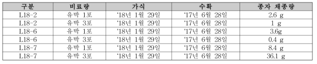 상추 비료량별 채종량 파종 : 2018년 1월 17일 정식 : 2018년 3월 27일