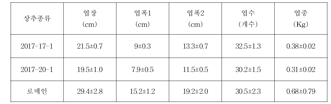 상추 품종별 생육특성