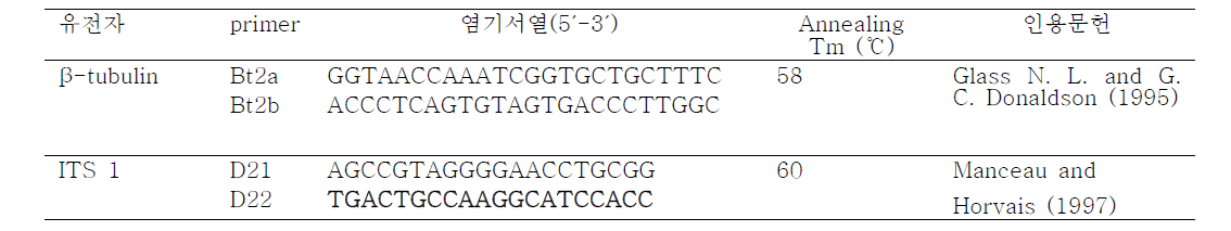 곰팡이와 세균 PCR증폭용 β-tubulin과 ITS1유전자 증폭용 oligo primer 염기서열과 결합온도(annealing Tm)