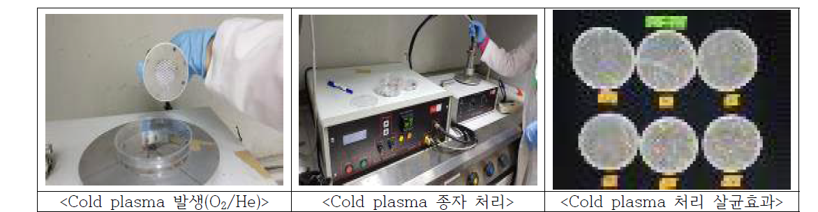 Cold plasma 처리 모식도