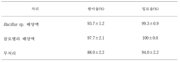 Bacillus sp.와 클로렐라 처리에 따른 종자 발아율 및 입묘율 향상효과