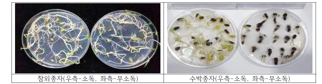 초음파와 베이킹소다 처리에 따른 참외종자와 수박종자 소독효과