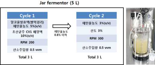 Schematic diagram of jar fermentation for rice vinegar (left). The picture of jar fermentor for rice fermentation(right)