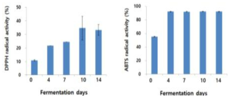 Change in radical scavenging activity of barley Makgeolli