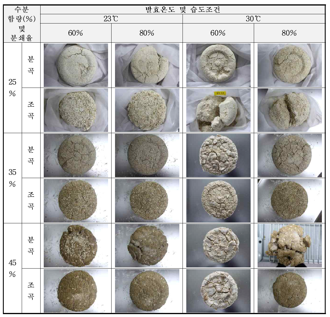 재래형태 보리누룩의 형태 안정성 평가