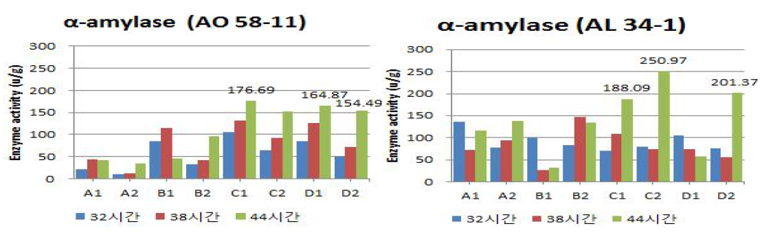 조건별로 제조된 낱알누룩의 발효시간에 따른 α-amylase 활성 A1)12) : 1)온도, 습도 : A ; 23℃, 60%, B ; 23℃, 80%, C ; 30℃, 60%, D : 30℃, 80%. 2)원료 : 1 : 조, 2 : 수수