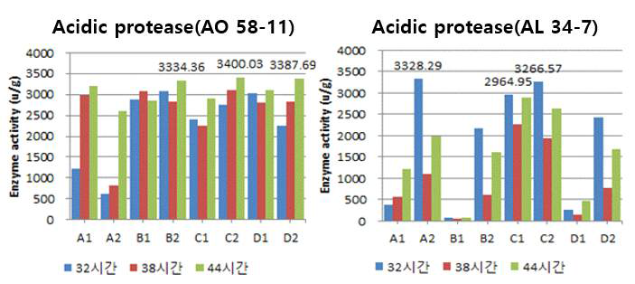 조건별로 제조된 낱알누룩의 발효시간에 따른 acidic protease 활성 A1)12) : 1)온도, 습도 : A ; 23℃, 60%, B ; 23℃, 80%, C ; 30℃, 60%, D : 30℃, 80%. 2)원료 : 1 : 조, 2 : 수수