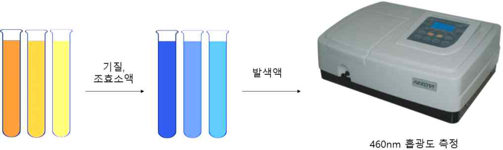 The method of measure for enzymatic activity