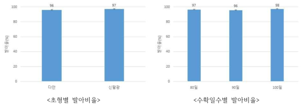 발아비율 그래프