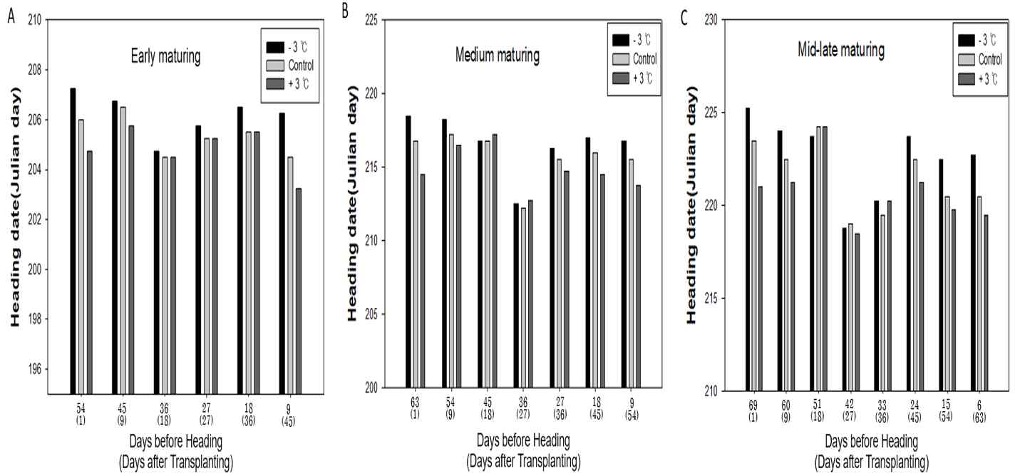 생육단계별 9일간 온도처리에 따른 출수 반응 변화. (A) Early maturing type. (B) Medium maturing type. (C) Mid-late maturing type