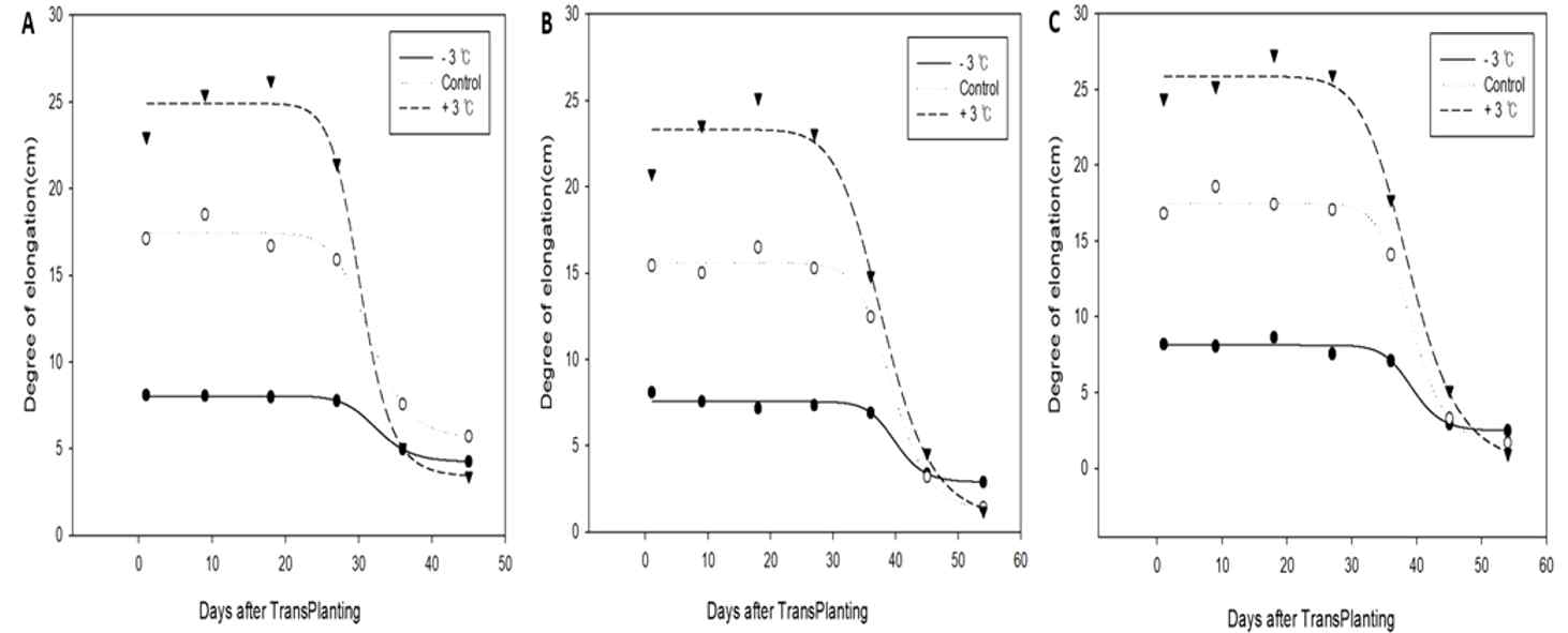 생육단계별(이앙 후 일수별, 9일간) 온도처리에 따른 초장증가 정도 변화(by logistic model). (A) Early maturing type. (B) Medium maturing type. (C) Mid-late maturing type