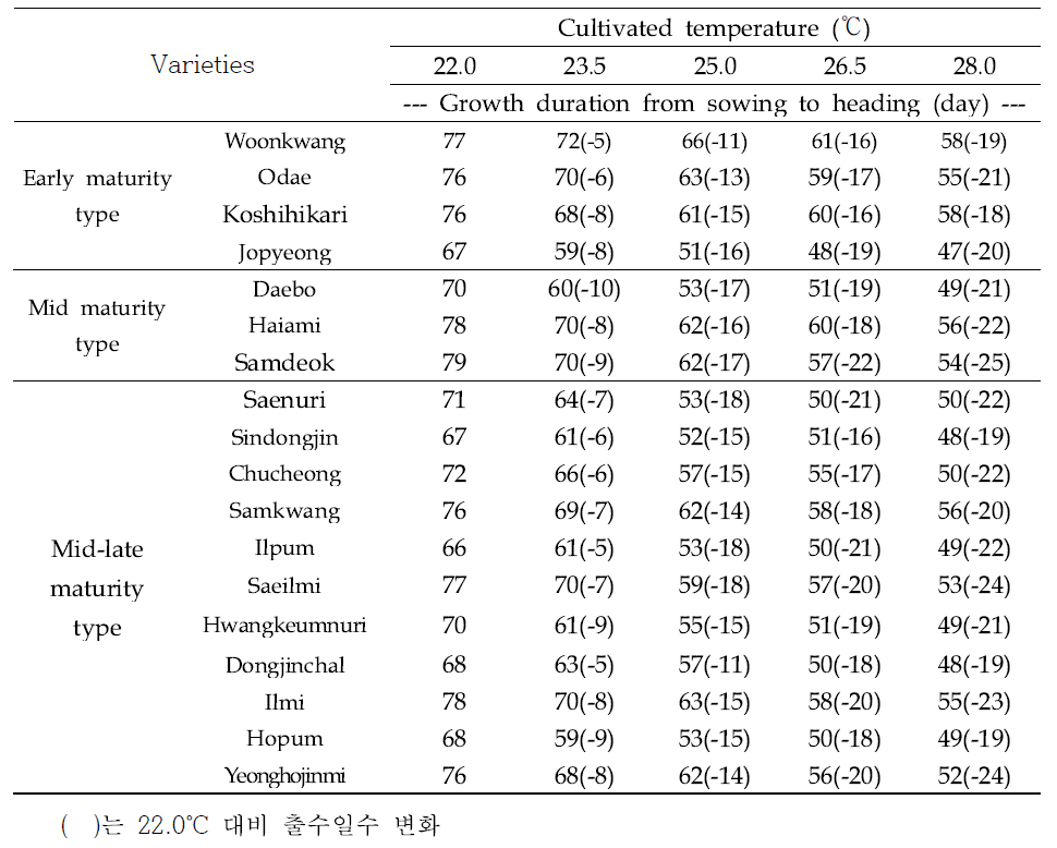 온도처리에 따른 벼 품종들의 출수까지 소요 일수