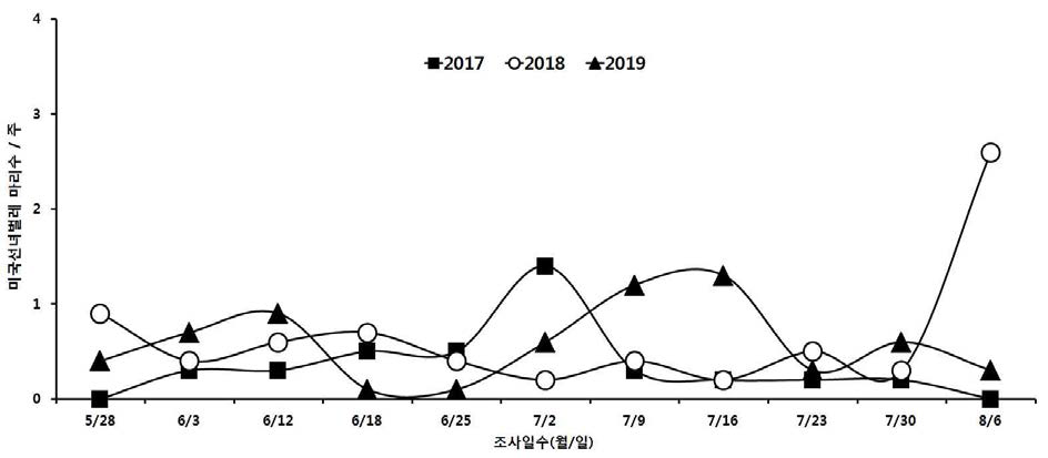 참깨 재배지에서 미국선녀벌레 평균 발생 양상