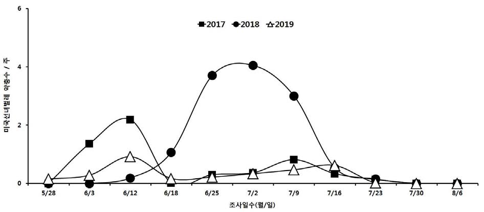 참깨 재배지에서 미국선녀벌레 약충 발생 양상(2017∼2019년)