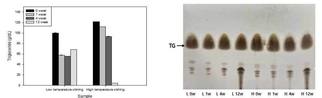 제조공정 및 저장기간에 따른 들기름의 트리글리세라이드 함량