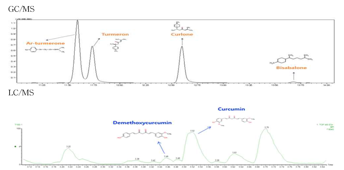 강황추출물의 GC-MS 및 LC-MS에 의한 천연 지용성 항산화물질 분석