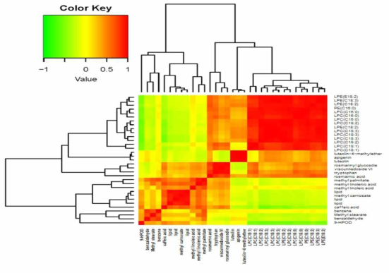 Pytochemical 및 지방산 대사물질들의 Pearson’s correlation