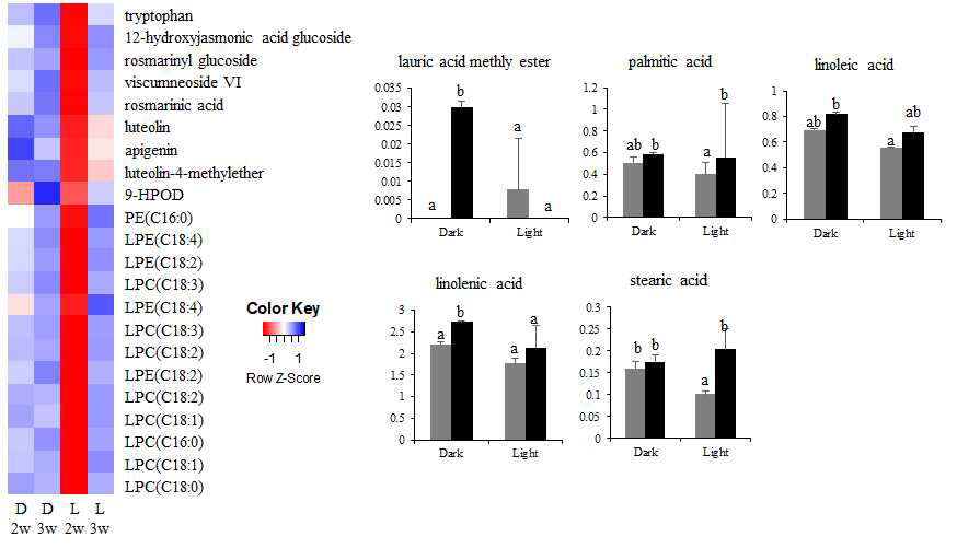 LC/MS를 통해 동정된 phytochemicals의 heatmaps 및 GC/MS를 통해 동정된 지방산의 relative abundance