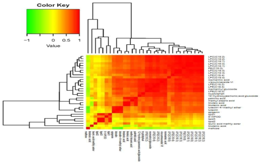 Pytochemical 및 지방산 대사물질들의 Pearson’s correlation