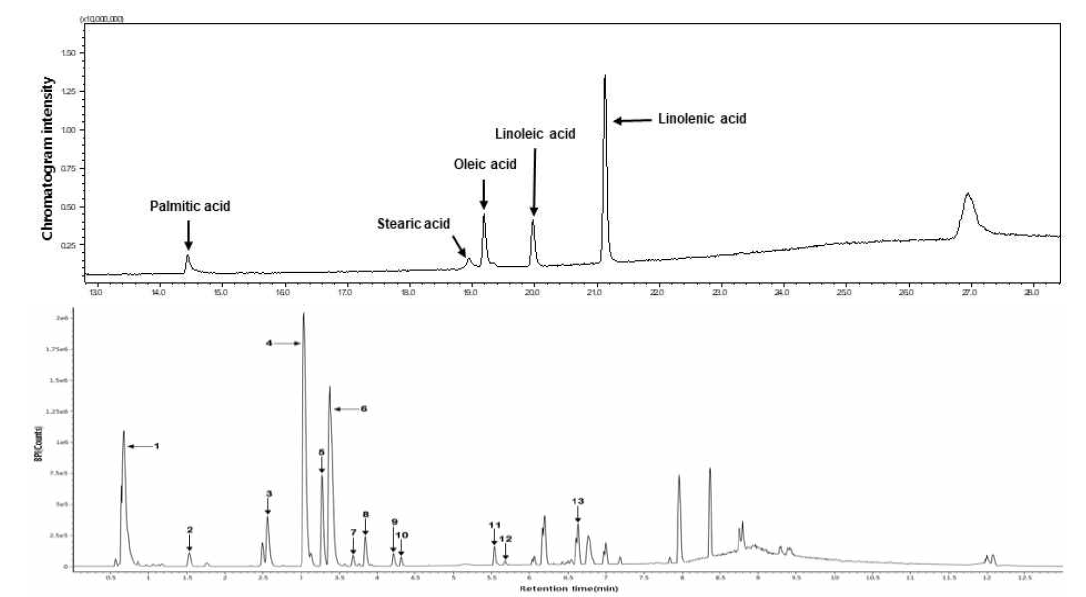 상대습도에 따른 들깨분말의 지방산 및 파이토케미컬 profile 1, maltose; 2, tryptophane; 3, 12-hydroxyjasmonic acid glucoside; 4, rosmarinyl glucoside; 5, viscumneoside VI; 6, rosmarinic acid; 7, usnic acid/eupatorin /eupatilin; 8, luteolin; 9, apigenin; 10, luteolin 4’-methyl ether; 11, 9(S)-HPODE; 12, asiatic acid; 13, LPE(C18:2); and IS, internal standard (abscisic acid)