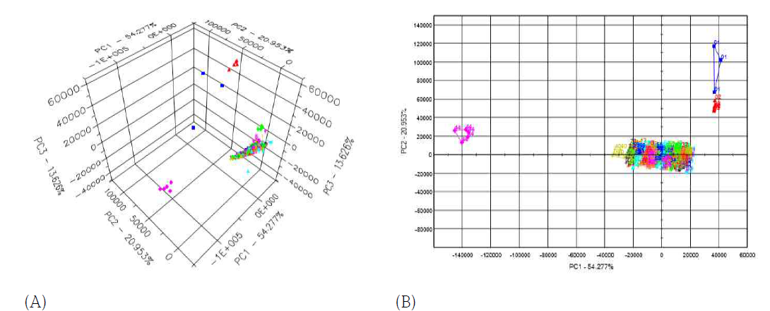 품종 및 파종기에 따른 들기름 향기 전자코 패턴 (A) PCA 3D, (B) PCA 패턴 * 시료번호 설명(번호, 품종명, 파종월) 1) 소담 5월 2) 소담 6월3) 소담 7월4) 새엽실 5월5) 새엽실 6월6) 새엽실 7월7) 유진 5월8) 유진 6월9) 유진 7월10) 백상 5월 11) 백상 6월 12) 백상 7월13) 안유 5월14) 안유 6월15) 안유 7월16) 영호 5월17) 영호 6월18) 영호 7월19) 엽실 5월20) 엽실 6월 21) 엽실 7월 22) 대실 5월23) 대실 6월24) 대실 7월25) 들향 5월26) 들향 6월27) 들향 7월28) 대유 5월29) 대유 6월30) 대유 7월 31) 들샘 5월 32) 들샘 6월33) 들샘 7월34) 다실 5월35) 다실 6월36) 다실 7월37) 광임 5월38) 광임 6월39) 광임 7월40) 백광 5월 41) 백광 6월 42) 백광 7월43) 다유 5월44) 다유 6월45) 다유 7월46) 다미 5월47) 다미 6월48) 다미 7월49) 청산 5월50) 청산 6월 51) 청산 7월 52) 조임 5월53) 조임 6월54) 조임 7월55) 단조 5월56) 단조 6월57) 단조 7월58) 백진 5월59) 백진 6월60) 백진 7월