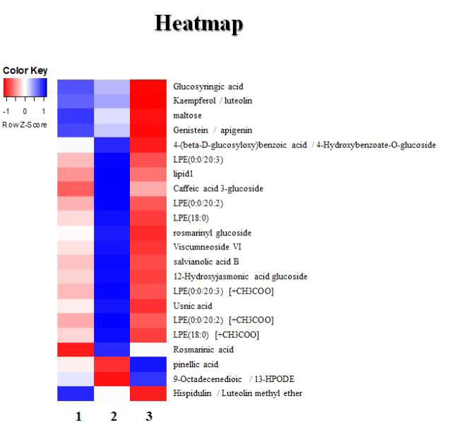 들깨 부산물 대사체(Heatmap)